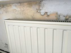 Gevel lekkage veroorzaakt schimmel op de muur van de slaapkamer